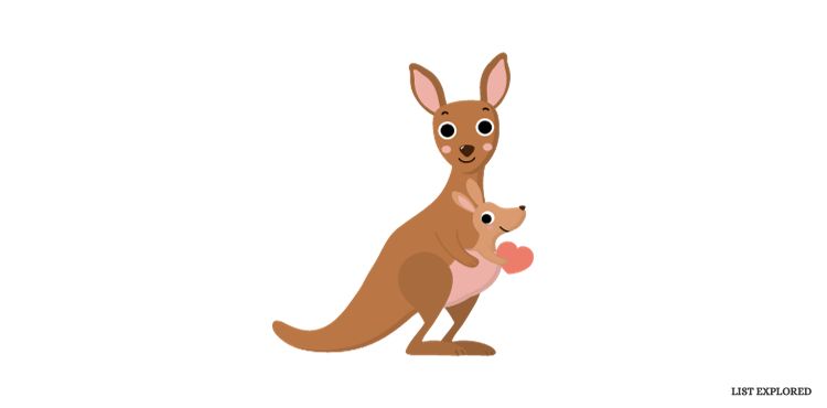 kangaroo